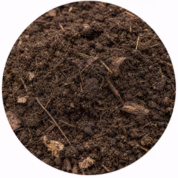 Dark transformed soil created through biological decomposition